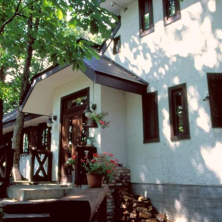 Earl Grey Hotel Hakuba Kültér fotó