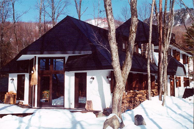 Earl Grey Hotel Hakuba Kültér fotó
