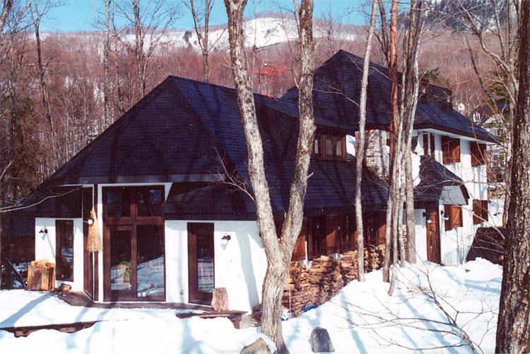 Earl Grey Hotel Hakuba Kültér fotó