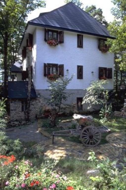 Earl Grey Hotel Hakuba Kültér fotó