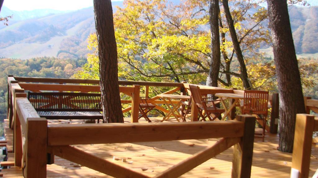 Earl Grey Hotel Hakuba Kültér fotó